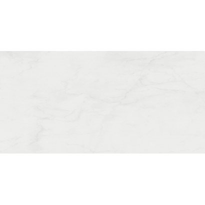 Allure 59x119 (carton de 1,39 m²)