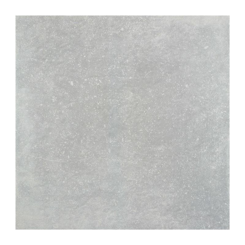 Stonearts Grigio 20 mm 60x60 (carton de 0,72 m²)