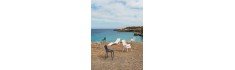 Chaise longue Vondom Ibiza 177x73x72 - Blanc - Lot de 4 unités