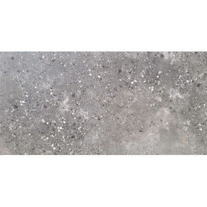 Palazzo Gris 60x120 (carton...