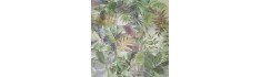 Secrets Green 20x20 (carton de 1 m²)