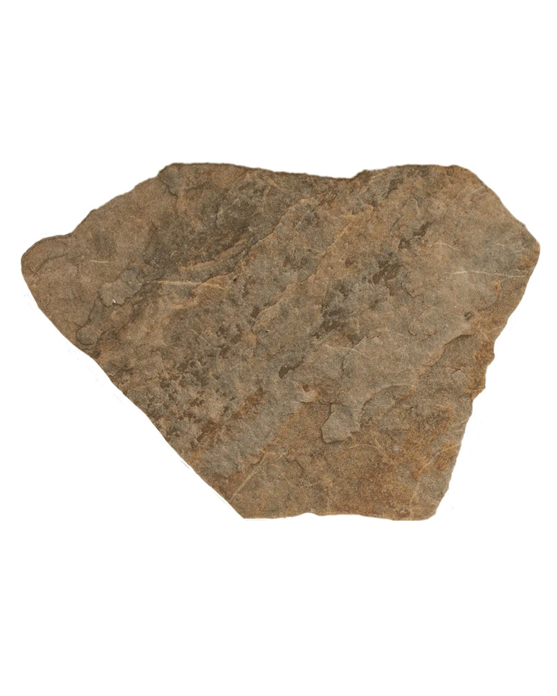 Montesa Marron (taille M) 22,6x32,6 - Carrelage effet pierre (carton de 1,03 m²)