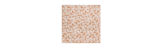Decor Canem Five 20x20 - Carrelage style carreaux de ciment (carton de 1 m2)
