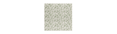 Decor Green Five 20x20 - Carrelage style carreaux de ciment (carton de 1 m²)