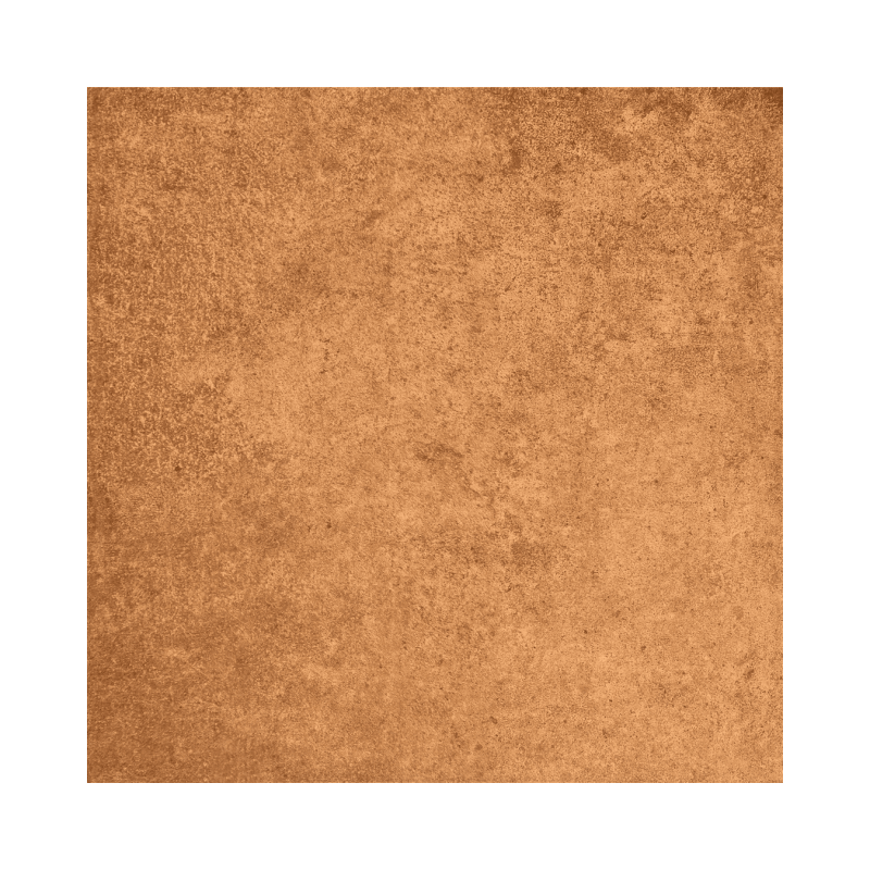 Castilla Gredos 31,6x31,6 - Carrelage style traditionnel (carton de 1 m²)