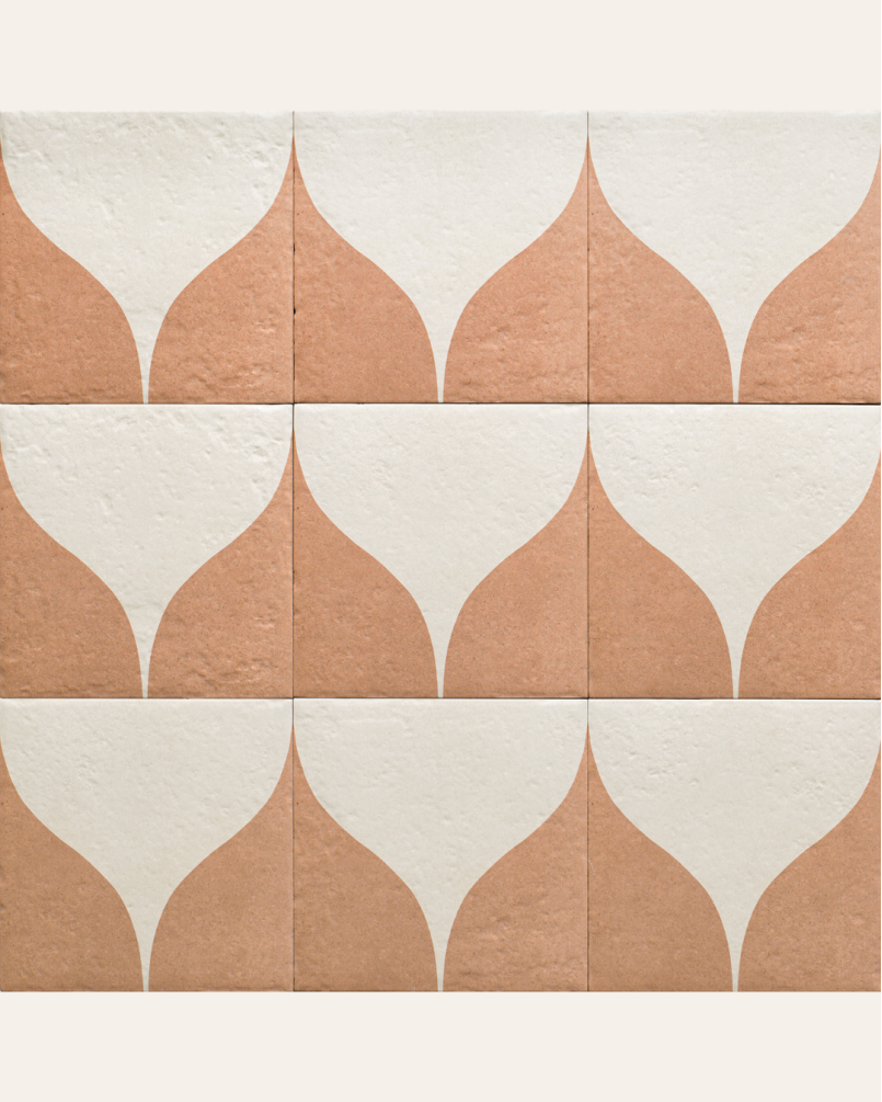 Decor Canem Two 20x20 - Carrelage style carreaux de ciment (carton de 1 m2)