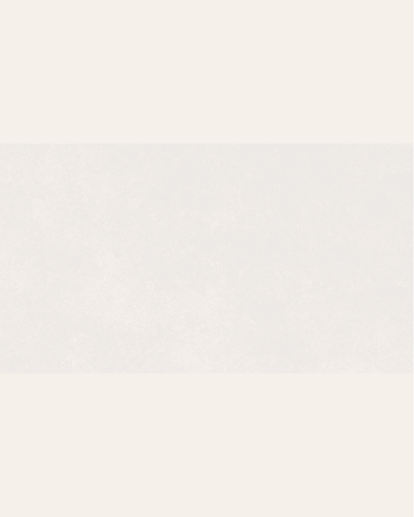 Gala White 60x120 - Carrelage effet pierre mat (carton de 1,44 m2)