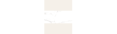 Nilo Blanco 60x120 - Carrelage effet marbre poli (carton de 1,44 m2)