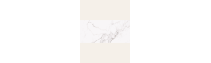 Palatina 60x120 - Carrelage effet marbre poli bords rectifiés (carton de 1,44 m²)