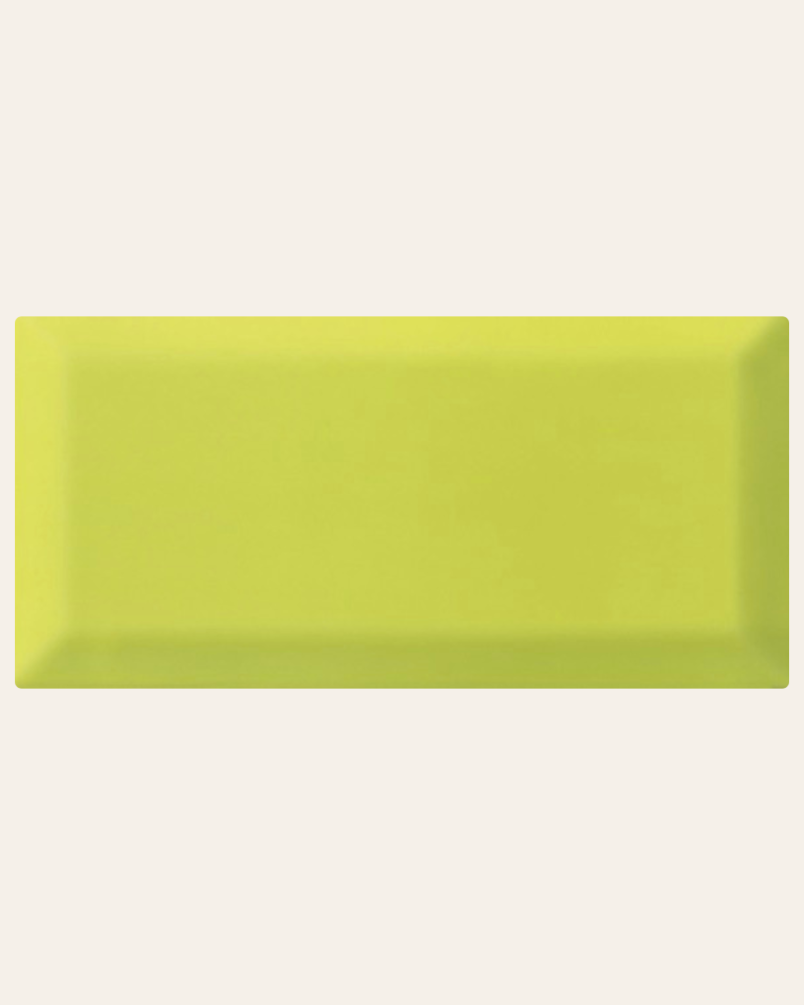 Bissel Y Green 10x20 - Faïence style métro (carton de 1 m²)