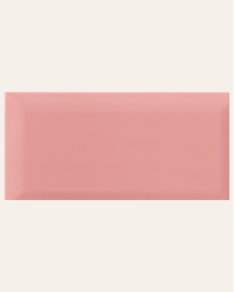 Bissel Pink 10x20 - Faïence...