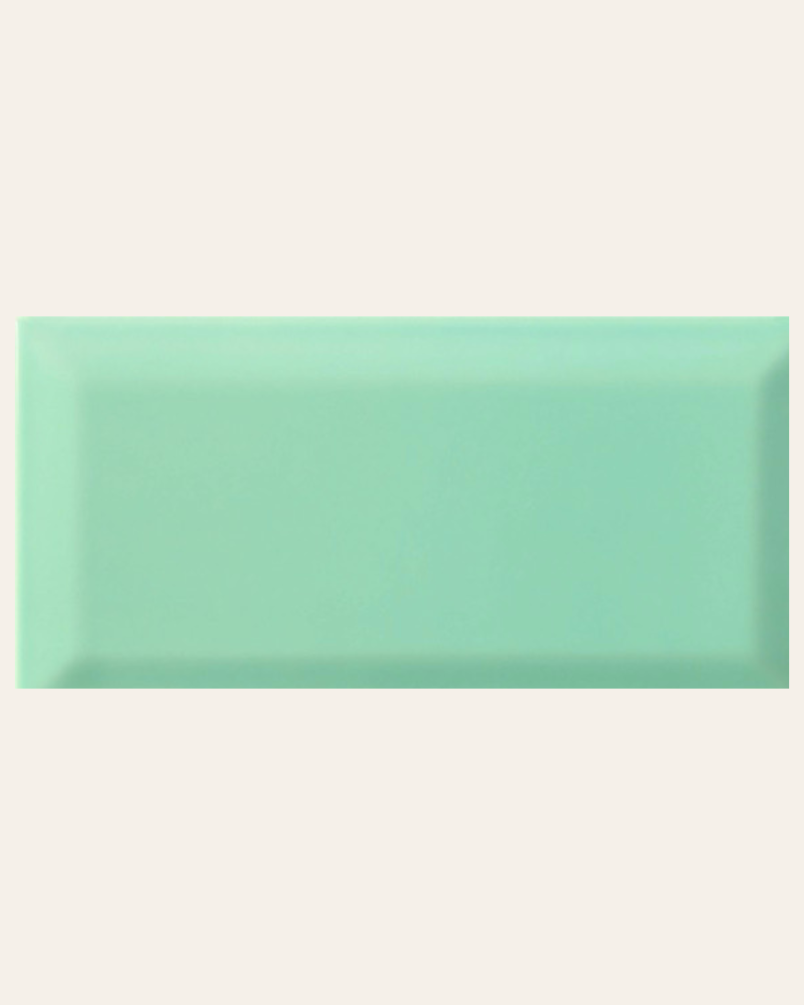 Bissel Emerald 10x20 - Faïence style métro (carton de 1 m²)