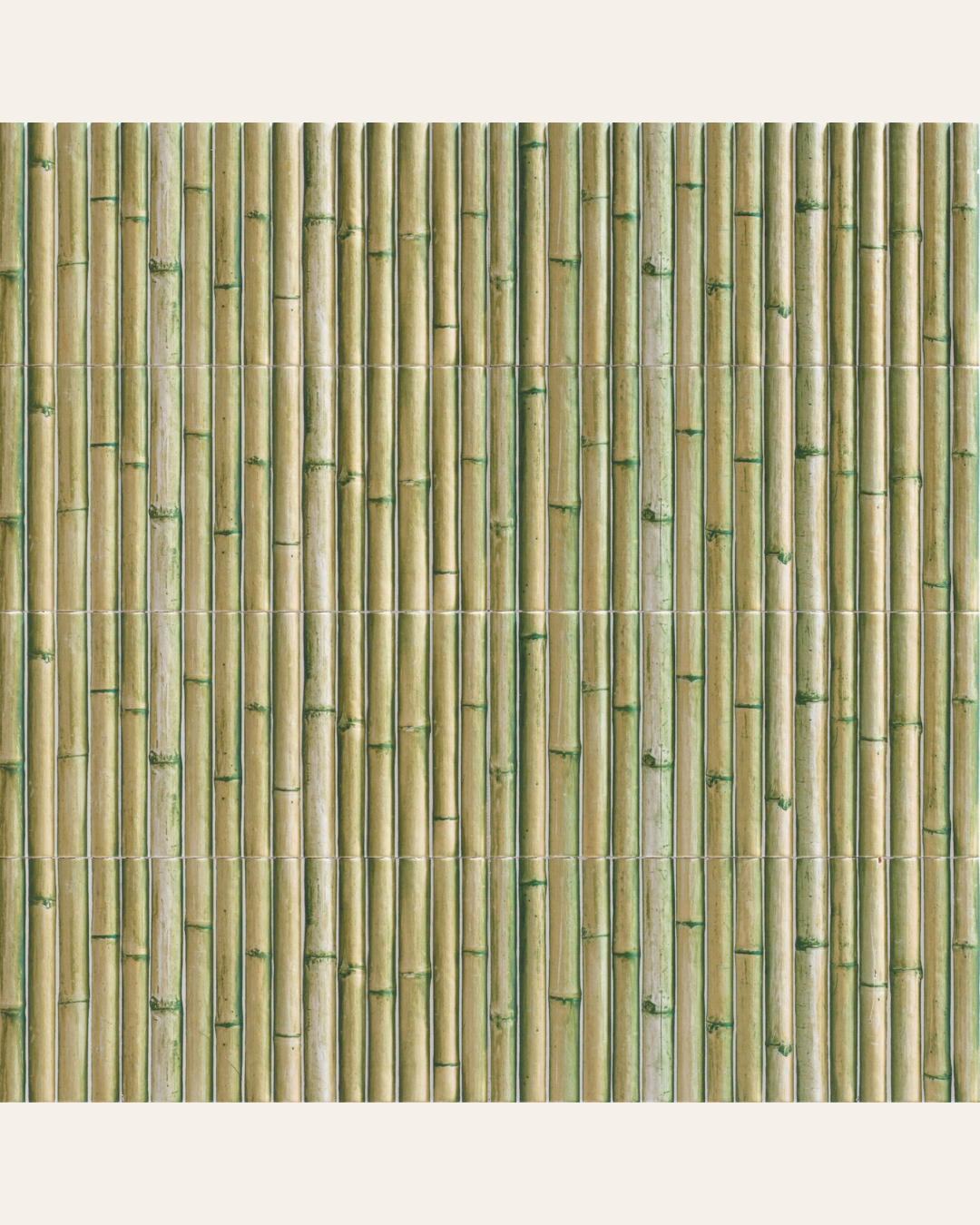 Série Bamboo Green 15x30 (carton de 0,9 m2)