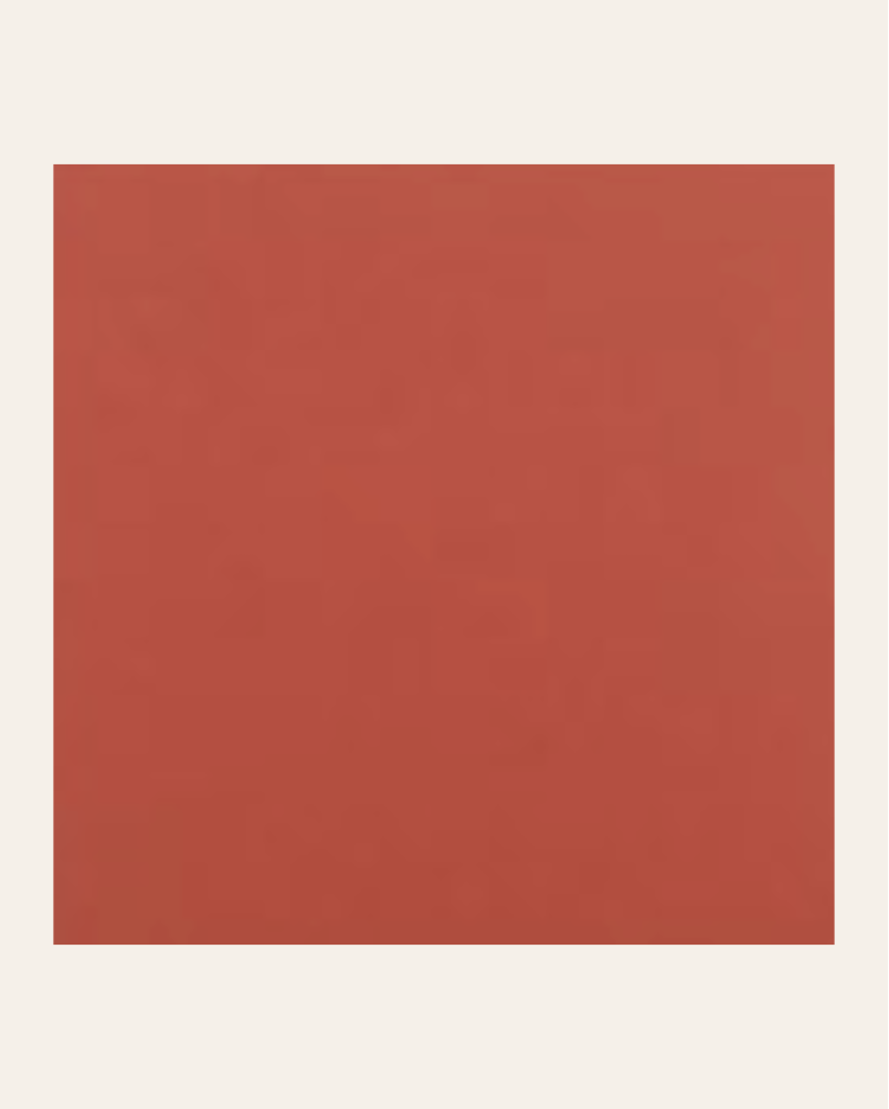 Rainbow Rojo 15x15 - Faience uni (carton de 0,5 m²)