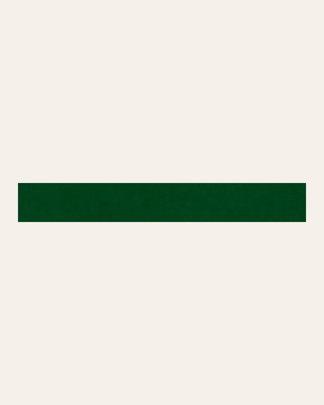Altea Tira Verde 2,5x20 - Carrelage listel (vendu à l'unité)