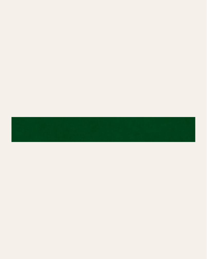 Altea Tira Verde 2,5x20 - Carrelage listel (vendu à l'unité)