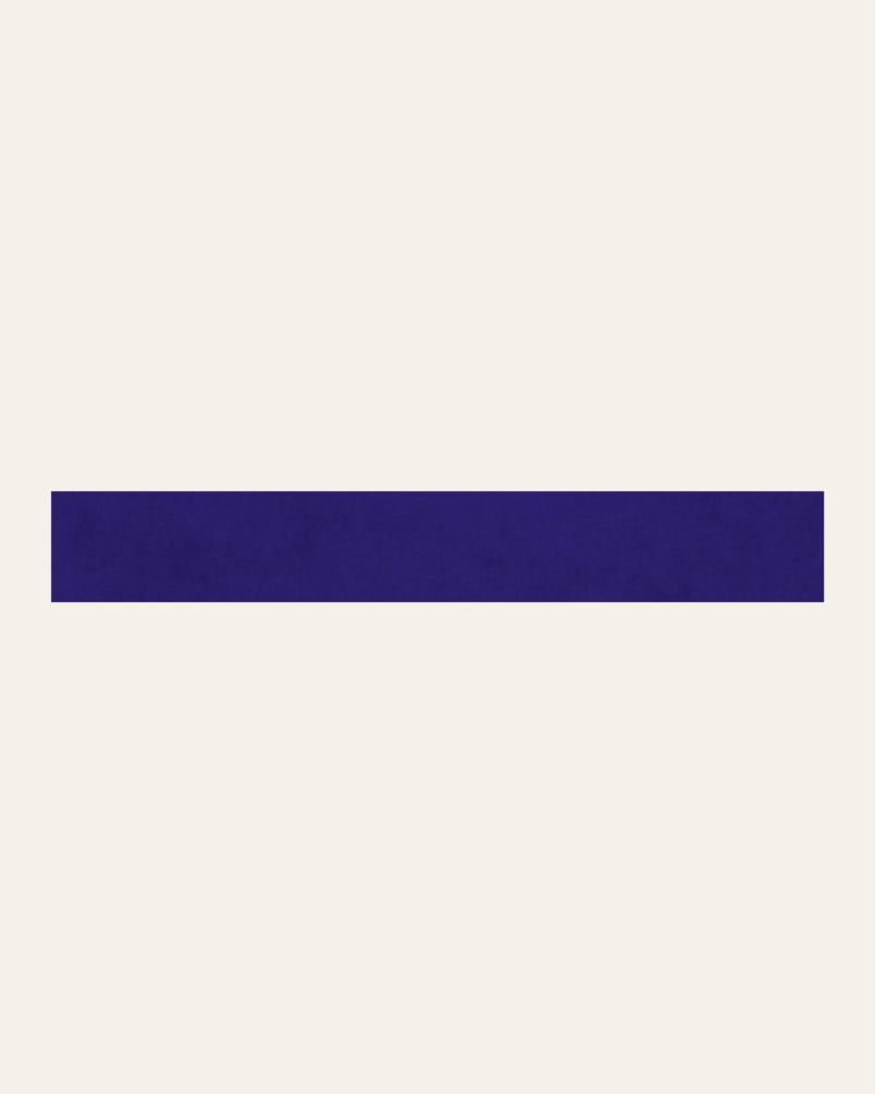 Altea Tira Azul 2,5x20 -...