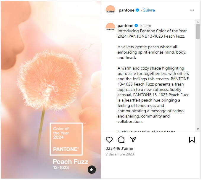 Choisissez votre carrelage en vous inspirant des couleurs de l'année 2024 - Pantone Peach Fuzz